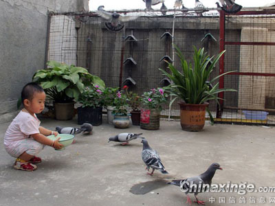 ������������ �ټ�������