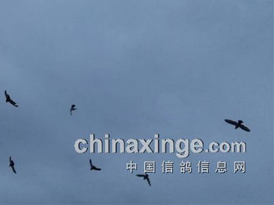 δ��ȫ������ ��Լ������ս(ͼ)