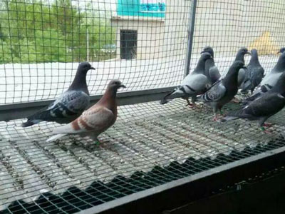 �����룺��Ҵ���һ���(ͼ)