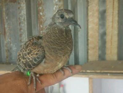 δ���Ĺ���ھ������ˣ�(ͼ)