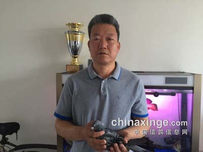 北京千公里国家赛前六名验鸽照片