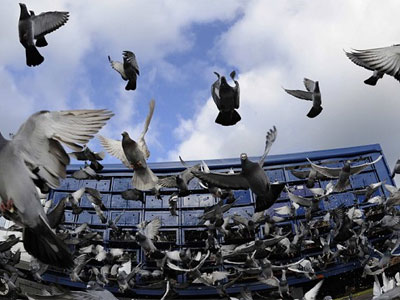 ŷս��Ϯ������ʱ������������ʽ��ս