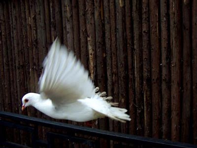 �������������Ĺ�����ͬһ�ҹ���