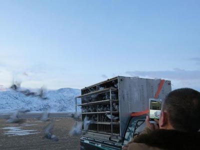 ����� ����������׼������