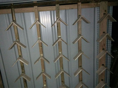 ��λ�쵼֧�֣���ʱ���½��ɸ���(ͼ)