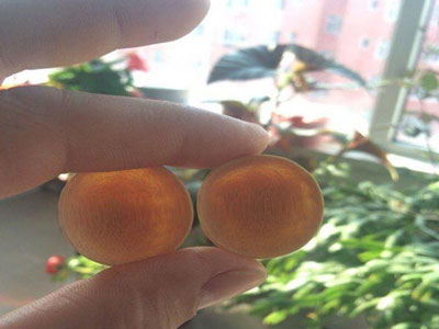 ����ħ�롱������(ͼ)