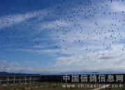 ���ջ�ɽ���߰٣�����ռ��ڽ�ɽ