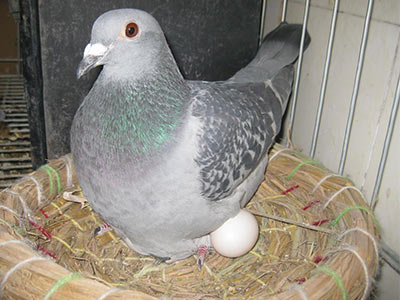 �������ӣ�14�������µ�  