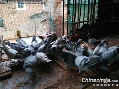 �벻�Ӽ�ƶ(ͼ)