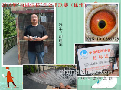 江苏千公里徐州区 验鸽花絮尝鲜(图)