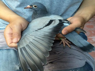 ����ǰ��Ӱ ����������զ����(ͼ)