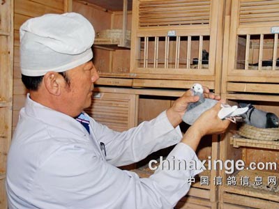 ������ӥ�����½���ʢ��ҵ���罭(ͼ)