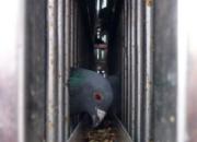�����߰����� ����һ������ھ�(ͼ)
