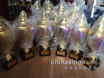 һ���13������(ͼ)