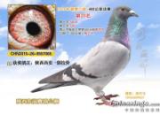 ϲ�ǲΰ룺�����Ҵ��ﶼ�н���(ͼ)