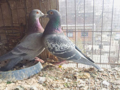 ��������̽�أ�����ɸѡ�����ָ�