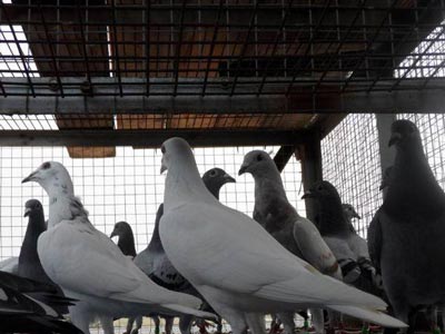 2016�����Ϳ����ǿ���(ͼ)