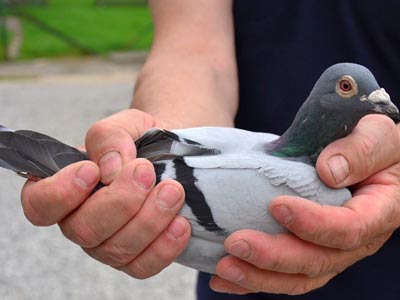 ������I������13513��ھ���¯(ͼ)