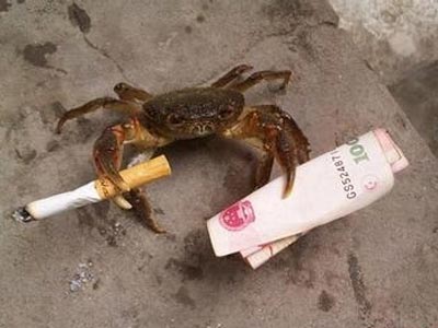 �����޲� ���л�ȥŷ�޺�����