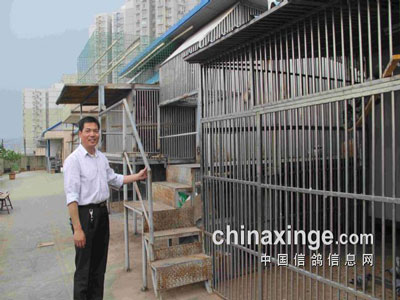 Ӯ������������ǿ����ӵ��(ͼ)