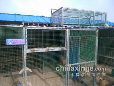 �Լ�һ�����������������(ͼ)