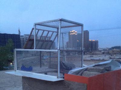 �½��������� �ܷ�è����(ͼ)