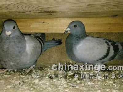 ����ѧ�������׸�ȫ�����˴���(ͼ)