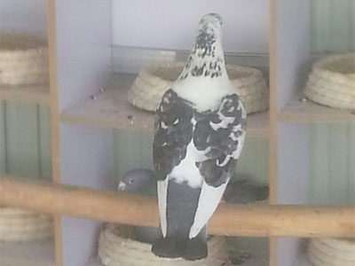 �����ǣ������������ֹ�������ȥ