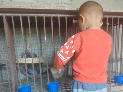 δ����ղɭ��(ͼ)