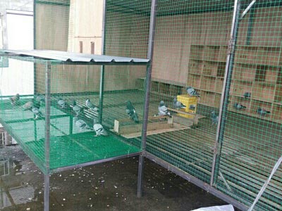 ��н���� ����ʵ�ò�������(ͼ)