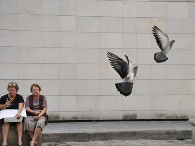 �Ÿ���˵������ĺ���