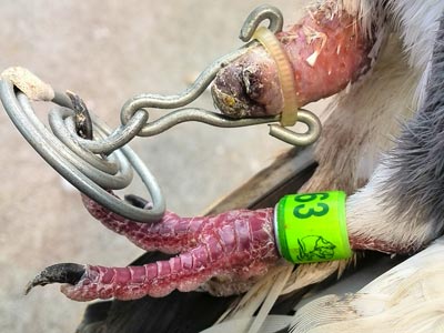 ���¼�ǿ�������� ����װ��֫(ͼ)