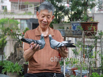 77��¤����ҽ��ʫ�������¼Ѽ�(ͼ)