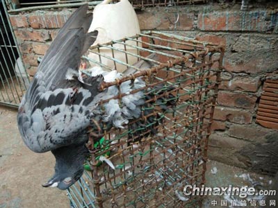 ������ҹ�ⰵ�� ���־�����˭��(ͼ)