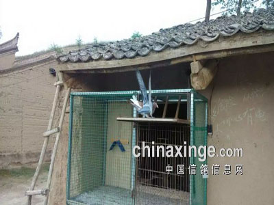 ���������� ���Ȳ���������(ͼ)