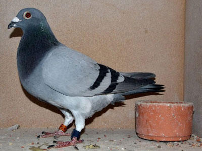 ����ʱ���а�չ����� �ھ�����(ͼ)