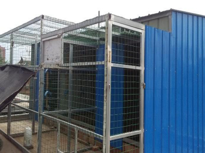 ���Ὠ�� �ʹ����(ͼ)