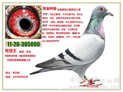 ���⻨�׻���ʶ�� �����ִ���(ͼ)