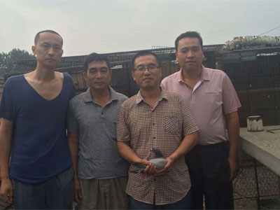 ɽ1500ﳬԶ̼ ʱ13(ͼ)