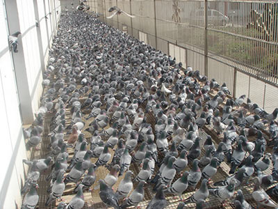 �㽭��˳���ﲻ������ �׽�����Բ���ɹ���