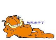 �������Ӧ�Ը���������