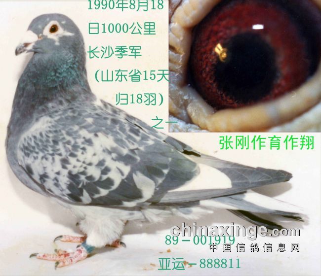 һеĳԶ̣񽱺ȫﱻ(ͼ)