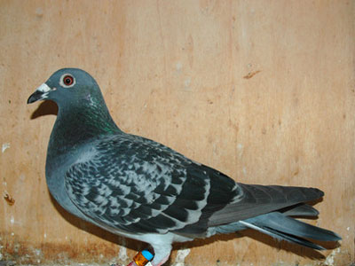 ����ʱ�Ǿ��٢����ֵܶ�ɸ�ھ�(ͼ)