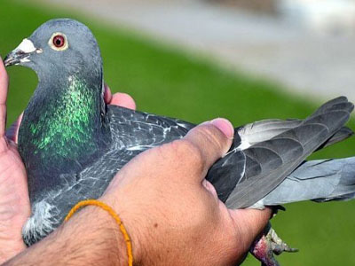 ������8892�����������ʱ(ͼ)