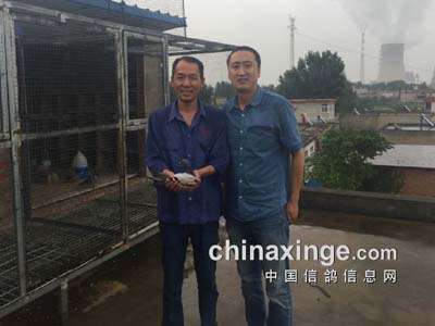 1500ﳬԶ̵ڶ鳲Ӣ(ͼ)