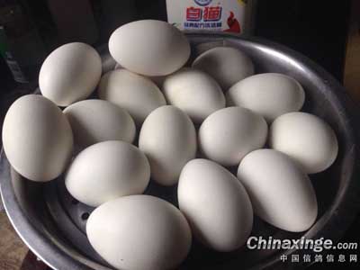 ���ʴ���ʫһ�ף�ũ��������Ǻ�