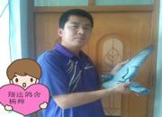 ������Ӯ��ʲô���׸�����ܹؼ�