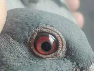 ���괺��ս�� �����Ʒ��(ͼ)