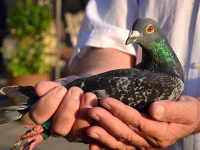 ŷ���������������չ�168�� �����ھ�����(ͼ)