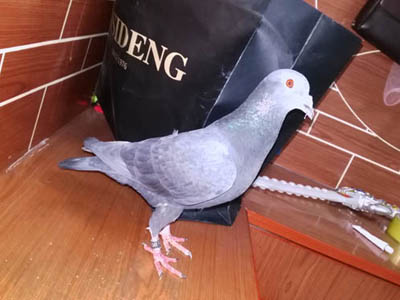 ���·ݸ��������(ͼ)